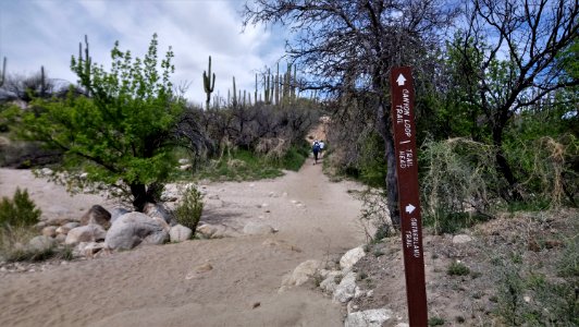 Catalina State Park