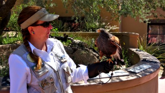 2019.03.31 Desert Museum