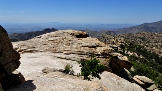 2019 09 02 Mt Lemmon (7)