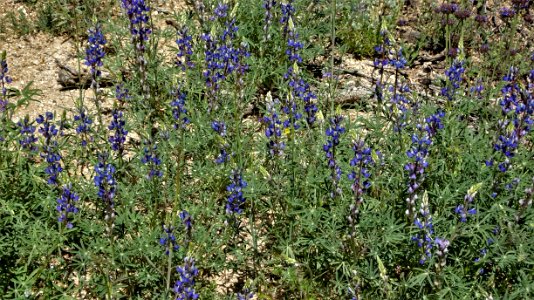 2019.03.23 Catalina State Park