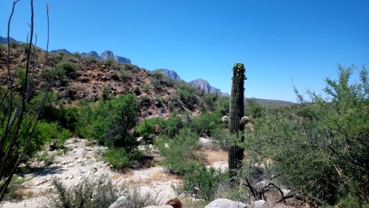 2018.05.19 Catalina State Park
