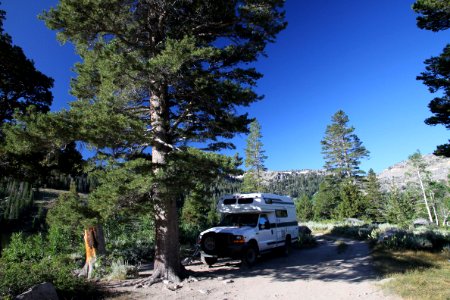 CA 1225 - LAKE ALPINE, 7600 FT, INYO NAY FOREST, CA - 01a