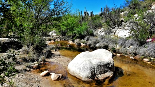 2019.04.07 Catalina State Park