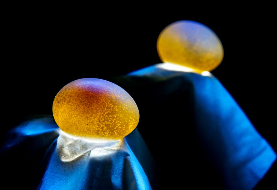 Reflection of a Lunar Egg