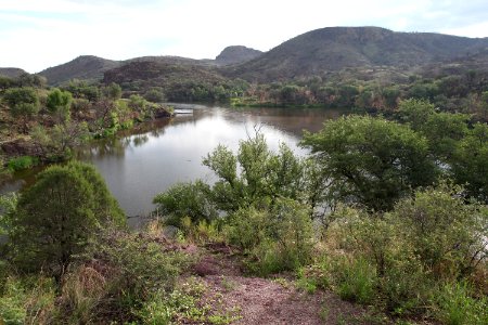 PENA BLANCA LAKE after fire (8-6-11) west of nogales, scc, az -04