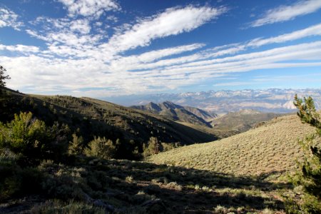 CA 1231 - INYO NAT FOREST, ANCIENT BRISTLECONE FOREST, ca - 02a