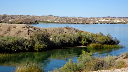 Lake Havasu Island