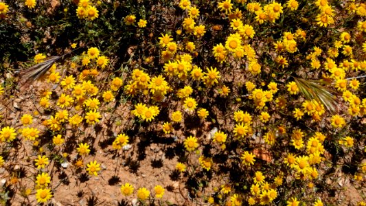 2019.04.07 Catalina State Park
