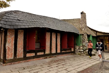 DSC 4307