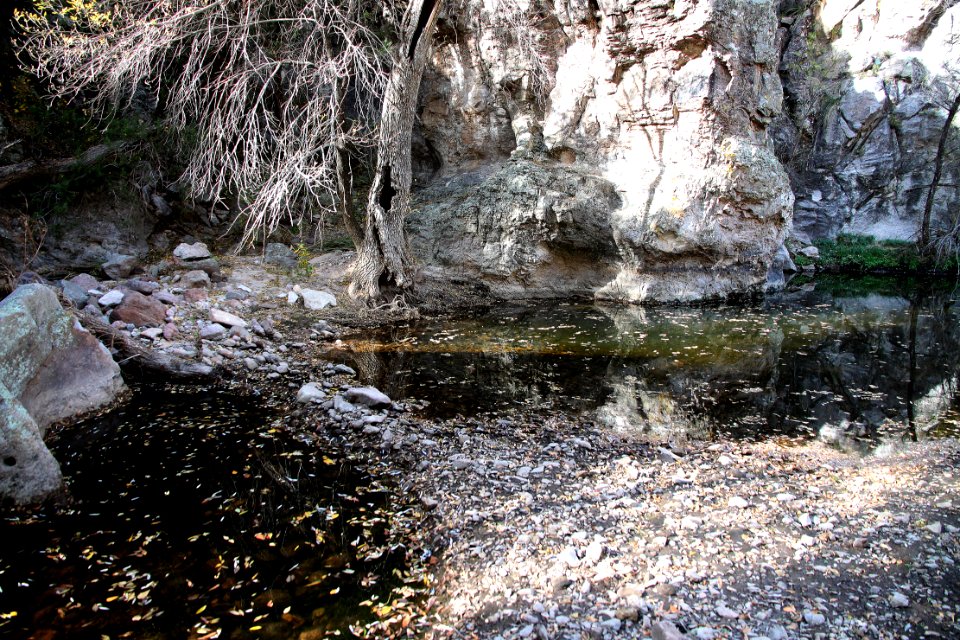 SYCAMORE CANYON, scc, az - 101 (11-8-12) -024