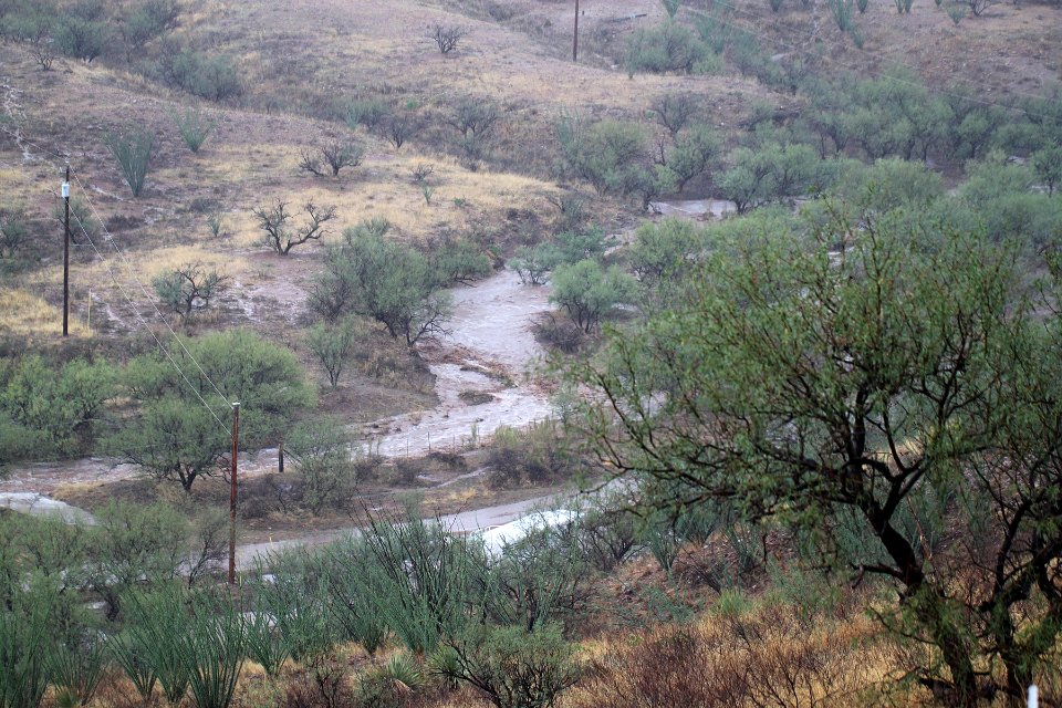 VIEW FROM THE HOUSE - 0160b (8-11-11) monsoons, 2011
