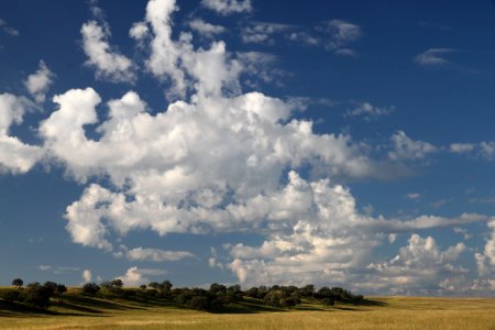 SAN RAFAEL VALLEY GRASSLANDS, SE of Patagonia, scc, az (9-15-11) -04 photo