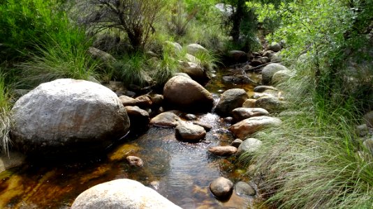 Catalina State Park