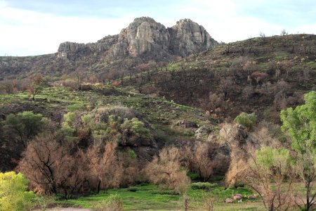 PENA BLANCA LAKE after fire (8-6-11) west of nogales, scc, az -03 photo