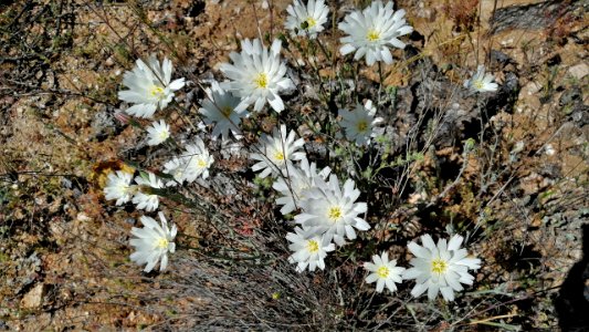 2019.04.07 Catalina State Park