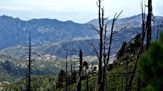 2019 09 02 Mt Lemmon (22)