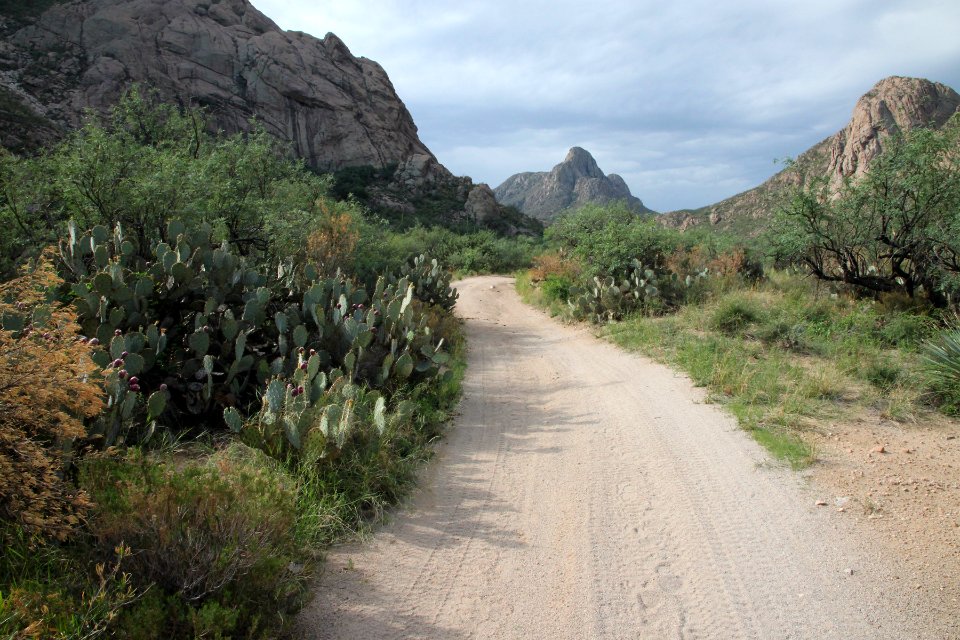 CHINO CANYON -004b (8-9-11)