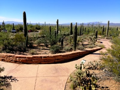 2019.0930 Saguaro National Park West