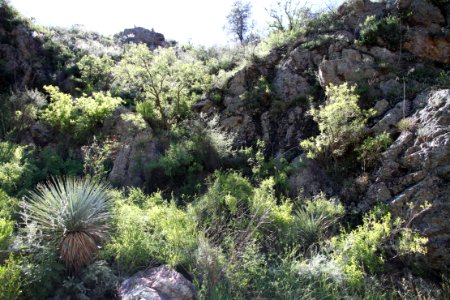 CALIFORNIA GULCH -001k (9-16-12) side canyon