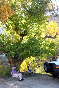 021 - Cottonwood Road campsite (10-15-11) -01