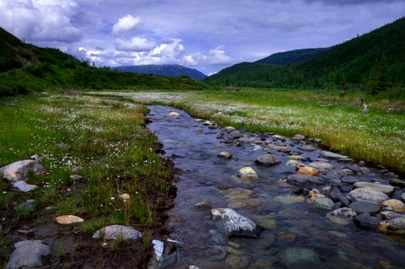 Moose Creek