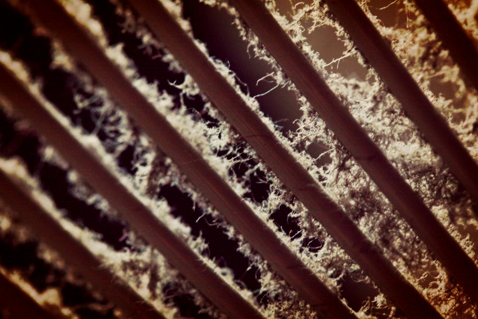 Dust On Fan.