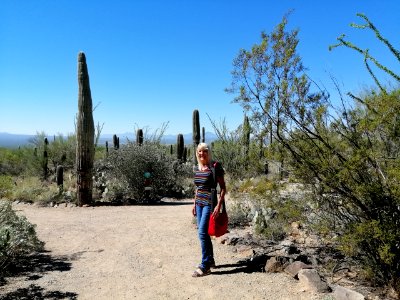 2019.09.30 Sonora Desert Museum