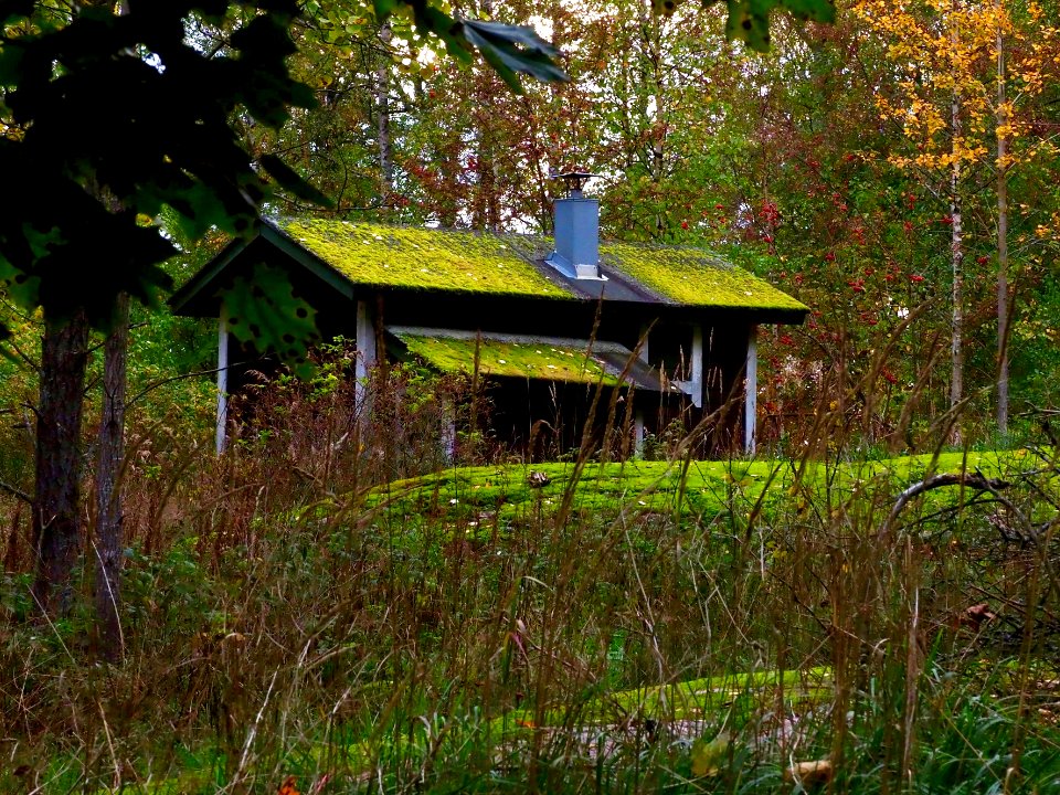 Serious green house