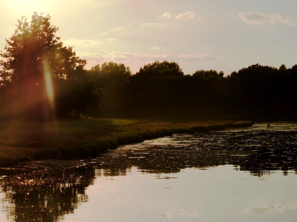 Delta of the Hamble river