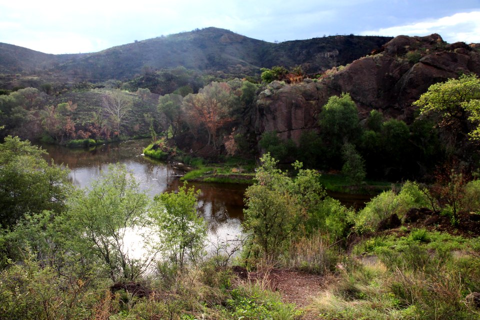 PENA BLANCA LAKE after fire (8-6-11) west of nogales, scc, az -05