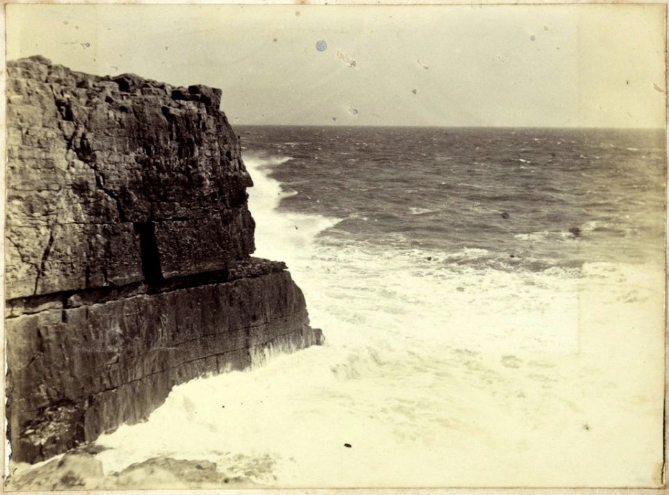 A wave just spent, Tilly Whim