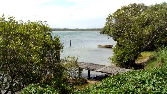 Wooli inlet