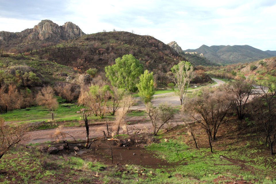 PENA BLANCA LAKE after fire (8-6-11) west of nogales, scc, az -02