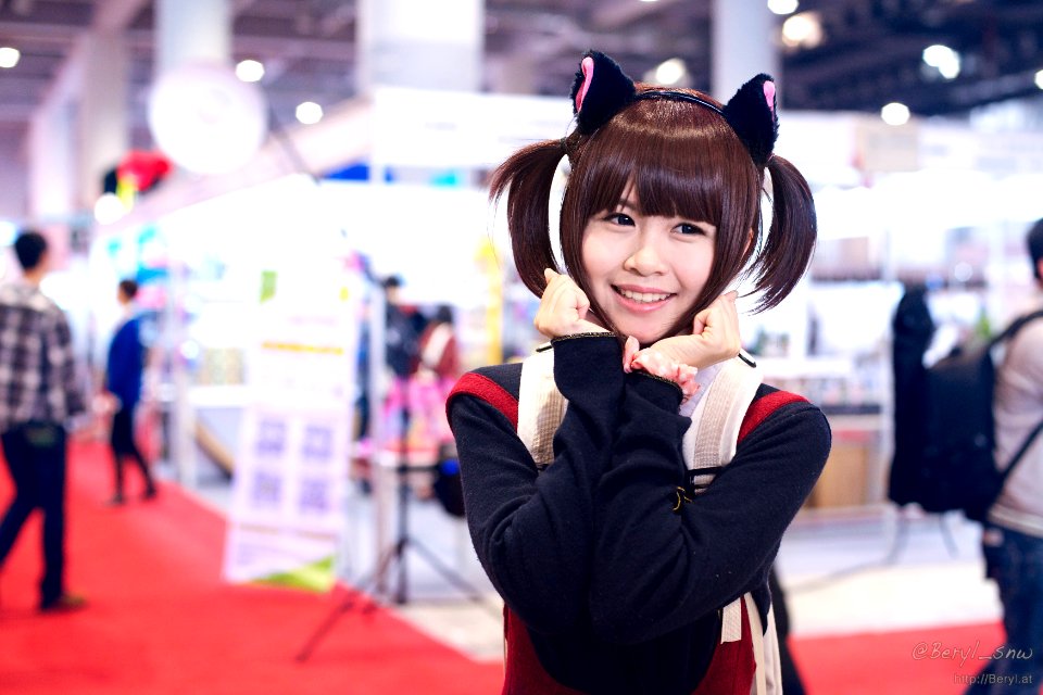 AniEx 2014