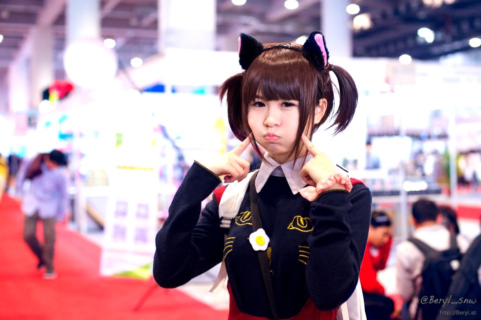 AniEx 2014
