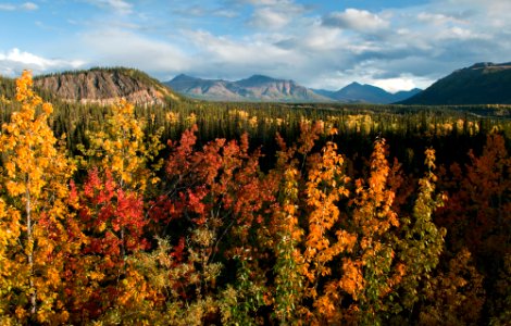 Fall in the Alaska Range photo