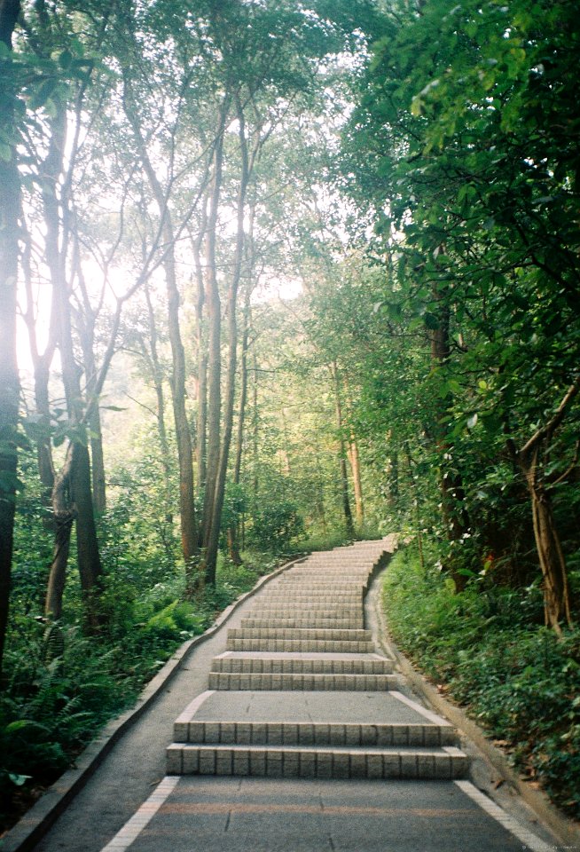 Path