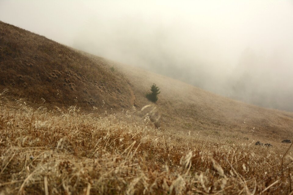 Hill landscape outdoor