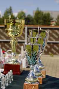 Competition trophy award photo
