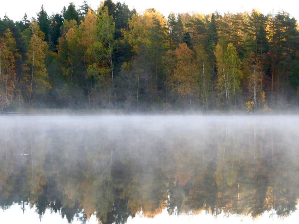 Mirror, mirror, misty mirror