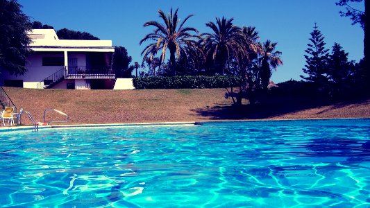 modernism, pool view photo