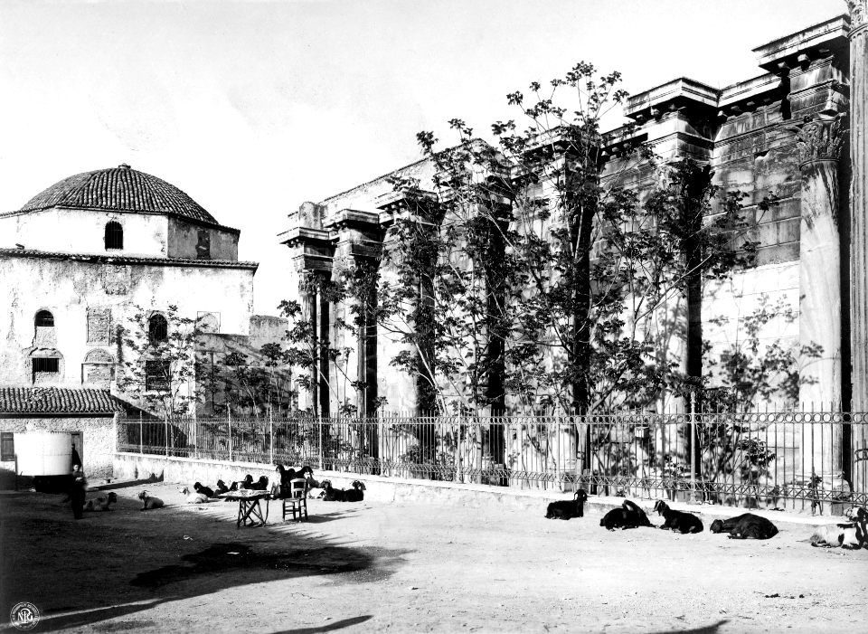 Goat-keeping at Hadrian's Library, 1905