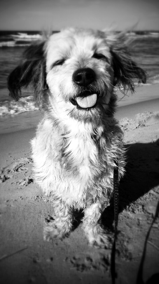 Beach joy black and white