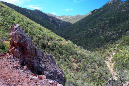 UPPER HUMBOLDT CYN, Patagonia Mts, scc -009 (8-3-12) after summit, looking dn road into upper humboldt cyn, pine grove in center of shadow -02