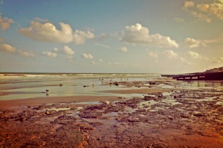 Eastbourne Beach.
