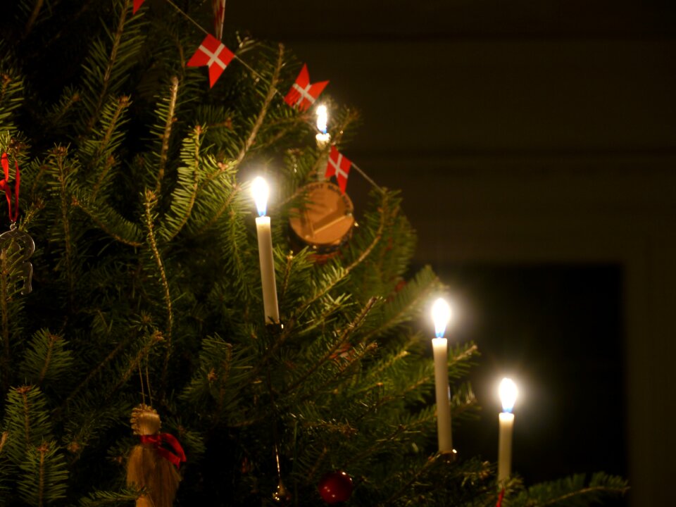 Christmas decoration holiday