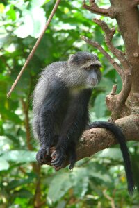 National park wild animal world
