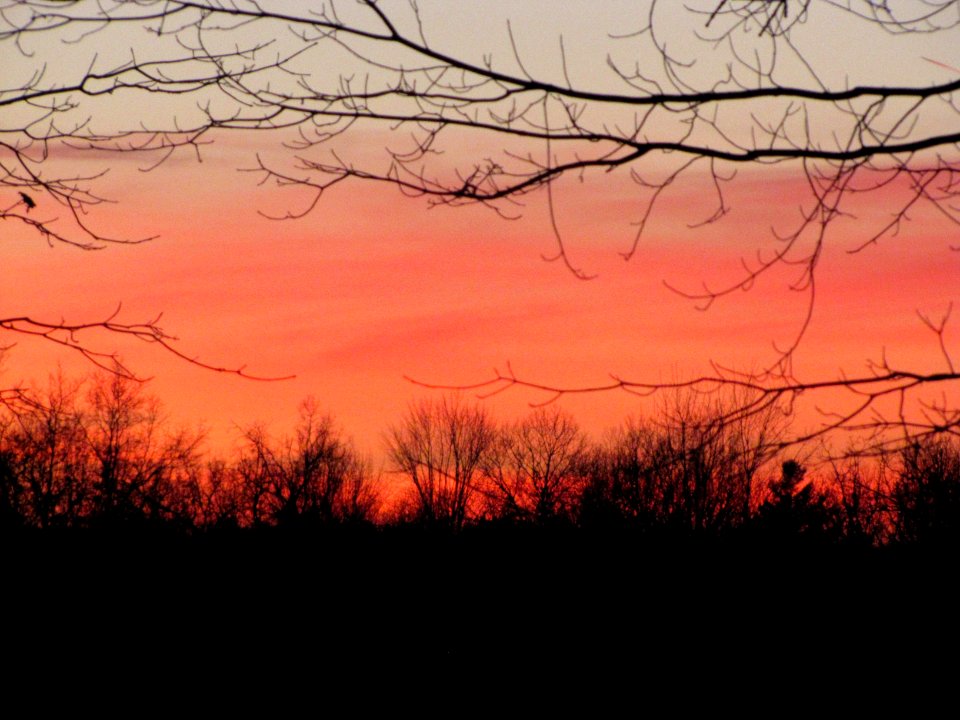 Sunset 135