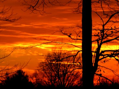 Sunset  141
