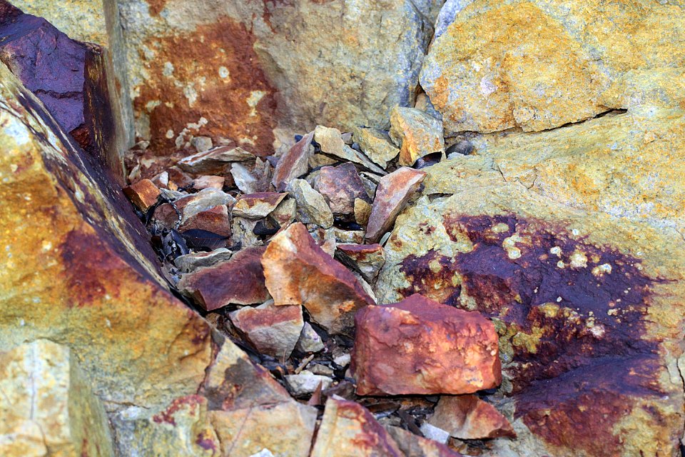 HUMBOLDT CANYON, upper canyon area, Patagonia Hills, scc, az (9-4-11) -07